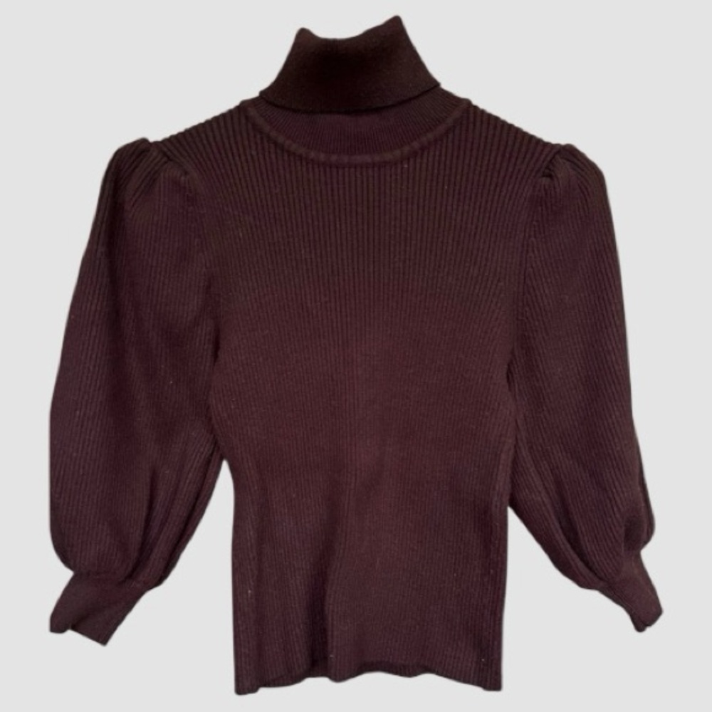 Zara Dark Brown Turtleneck Sweater